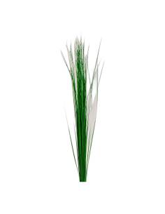 Brins de steel grass stabilisé, herbe fine et droite