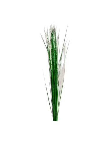 Brins de steel grass stabilisé, herbe fine et droite