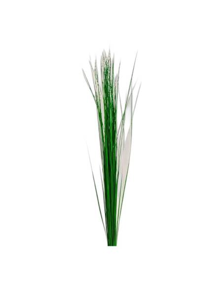 Brins de steel grass stabilisé, herbe fine et droite