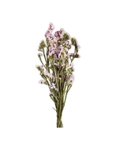 Détail des fleurs du statice stabilisé jaune
