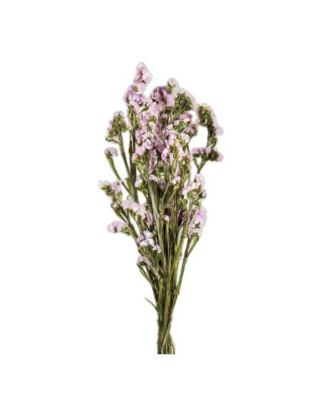 Détail des fleurs du statice stabilisé jaune