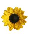 Tête de tournesol stabilisé, pétales jaune vif et cœur brun foncé, vue de face sur fond uni
