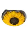 Tête de tournesol stabilisé dans sa boîte fermée à fenêtre ronde