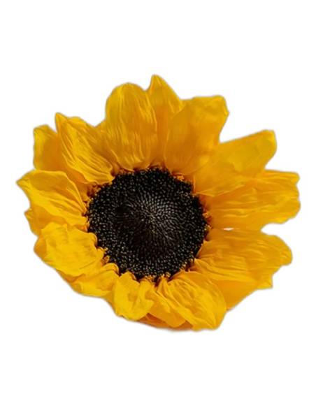 Tournesol stabilisé, tête à l'unité, vue 4 sur 4