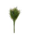 Botte de fougère arborescente stabilisée, feuillage fin vert, sur fond beige
