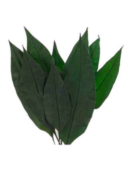 Botte de feuilles tropicales stabilisées vert foncé, longues et lisses, nervure centrale marquée