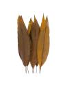 Botte de feuilles tropicales stabilisées aux tons olive et bronze, feuilles dressées