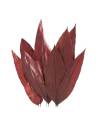 Botte de feuilles tropicales stabilisées rouge sombre, feuilles dressées en éventail