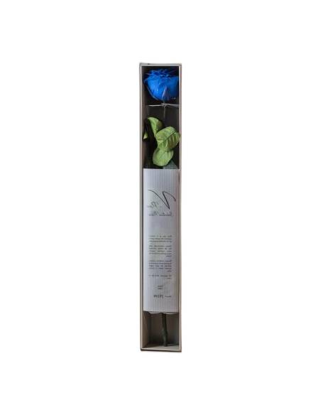 Coffret allongé ouvert avec une rose éternelle bleu foncé sur tige et son feuillet imprimé
