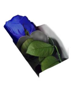 Coffret allongé ouvert avec une rose éternelle bleu foncé sur tige et son feuillet imprimé 2