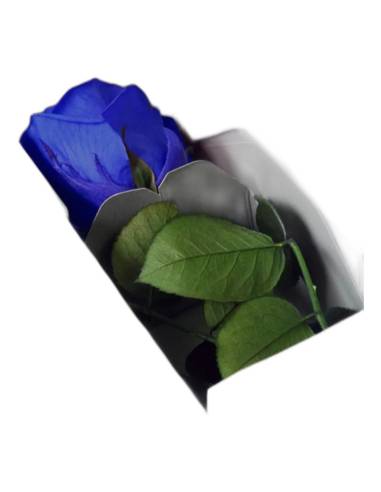 Rose éternelle sur tige en coffret individuel, lot de 16, photo 2 sur 18