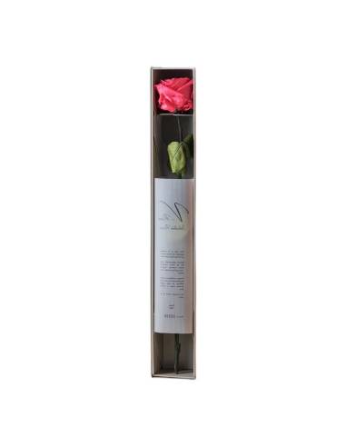 Rose éternelle sur tige en coffret individuel, lot de 16, photo 4 sur 18