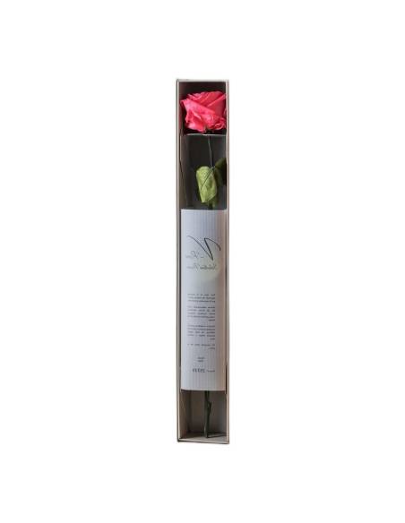 Rose éternelle sur tige en coffret individuel, lot de 16, photo 4 sur 18