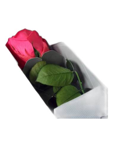 Rose éternelle sur tige en coffret individuel, lot de 16, photo 5 sur 18
