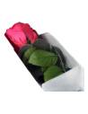 Rose éternelle sur tige en coffret individuel, lot de 16, photo 5 sur 18