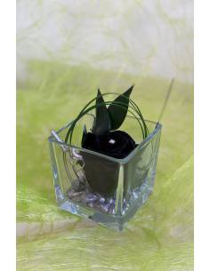 Cube édition Black flower M