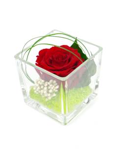 Cube déco rose éternelle Rouge lichen