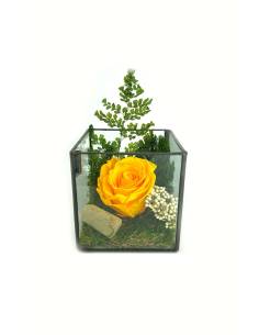 Cube Terra rose éternelle Jaune