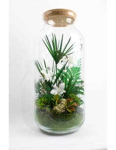 Florarium stabilisé orchidées Blanches