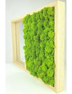 Tableau végétal stabilisé miroir