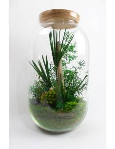 Terra Medium - Terrarium stabilisé