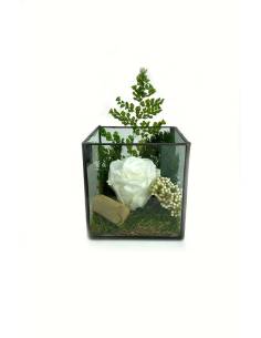 Cube terra rose éternelle Blanche