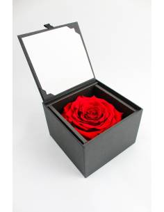 Flow'inbox XL - rose Premium