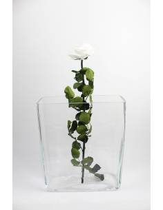 Rose éternelle stabilisée premium Blanche