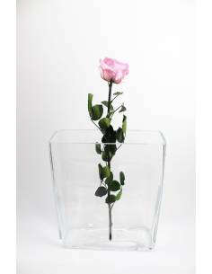Rose éternelle stabilisée premium Rose Clair