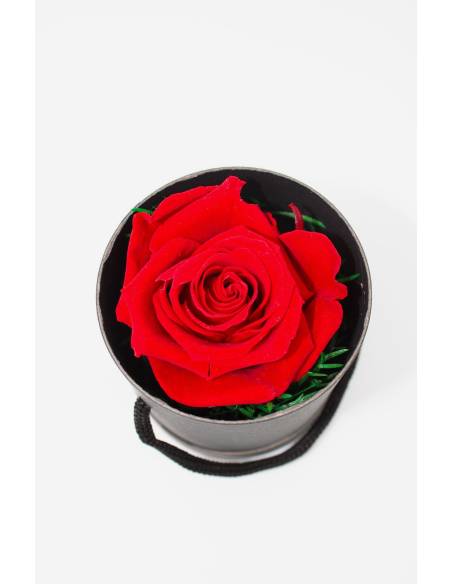 Mini box rose éternelle Rouge, vue 2