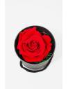 Mini box rose éternelle Rouge, vue 2