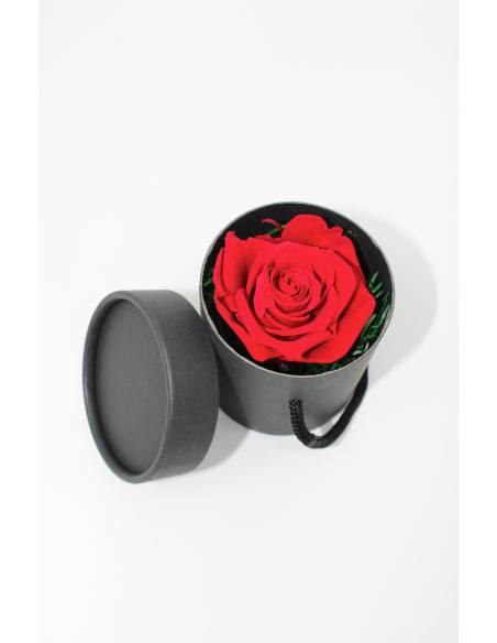 Mini box rose éternelle Rouge, vue 3