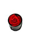 Mini box rose éternelle Rouge, vue 5