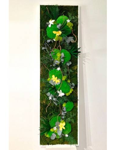Tableau végétal stabilisé slim XL orchidées Jaune & Blanc