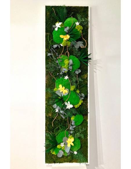 Tableau végétal stabilisé slim XL orchidées Jaune & Blanc