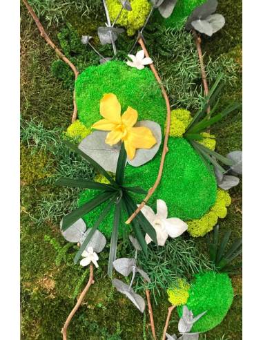 Tableau végétal stabilisé slim XL orchidées Jaune & Blanc, vue 2