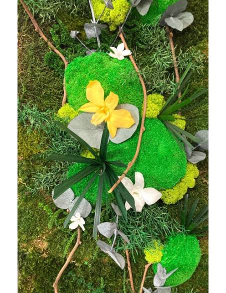 Tableau végétal stabilisé slim XL orchidées Jaune & Blanc, vue 2