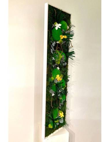 Tableau végétal stabilisé slim XL orchidées Jaune & Blanc, vue 3