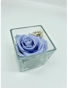 Cube déco rose éternelle lila