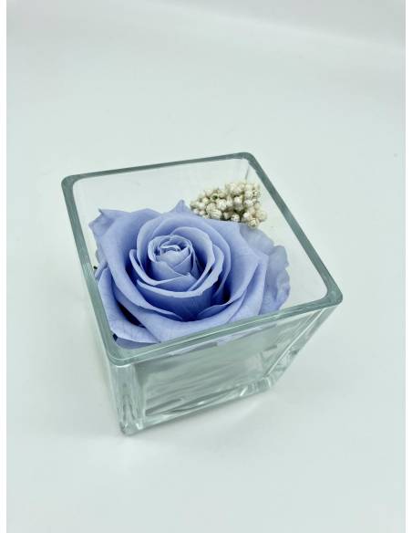 Cube déco rose éternelle lila