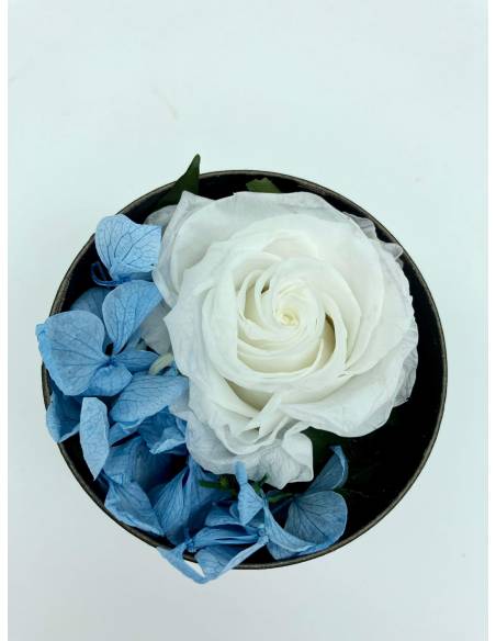 Mini box rose éternelle blanc & bleu, vue 3