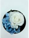 Mini box rose éternelle blanc & bleu, vue 3