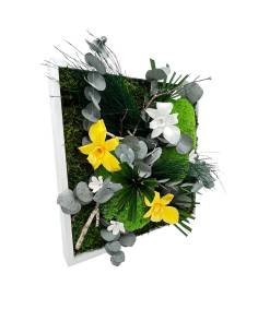 Tableau végétal stabilisé carré M orchid mix Jaune