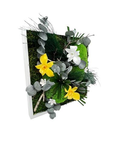 Tableau végétal stabilisé carré M orchid mix Jaune