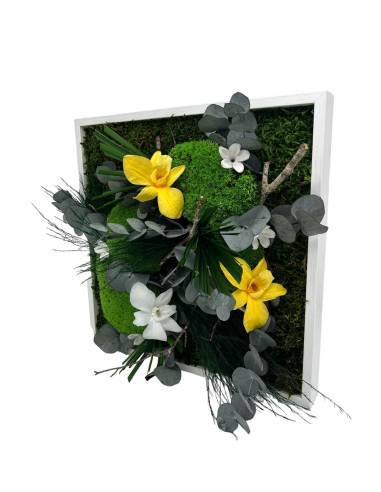 Tableau végétal stabilisé carré M orchid mix Jaune, vue 2