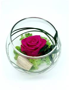 Boule déco rose éternelle Fuchsia lichen 2