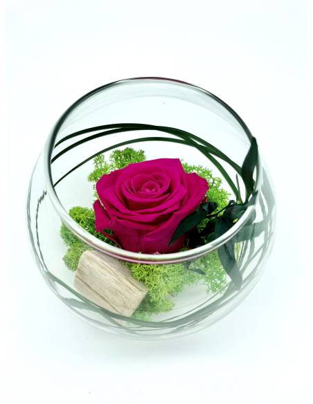 Boule déco rose éternelle Fuchsia lichen, vue 2