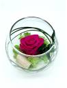 Boule déco rose éternelle Fuchsia lichen, vue 2