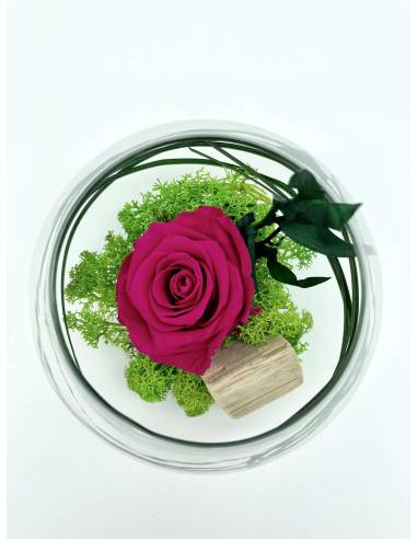 Boule déco rose éternelle Fuchsia lichen, vue 3