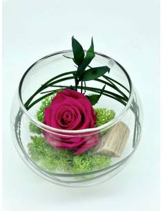 Boule déco rose éternelle Fuchsia lichen